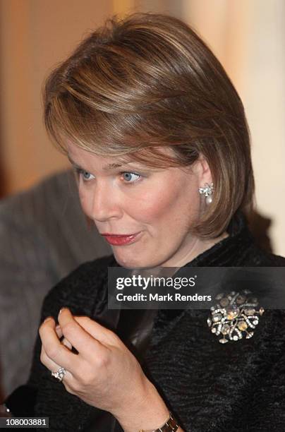 Princess Mathilde of Belgium attends the New Years reception at the Royal Palace at Royal Palace on January 12, 2011 in Brussel, Belgium.