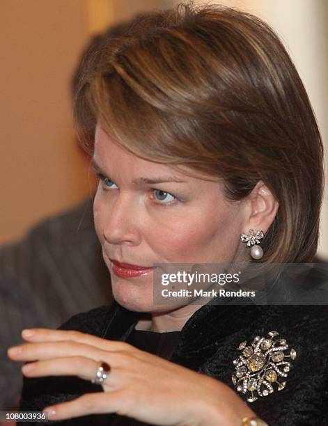 Princess Mathilde of Belgium attends the New Years reception at the Royal Palace on January 12, 2011 in Brussel, Belgium.