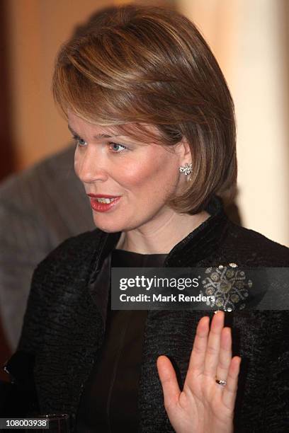 Princess Mathilde of Belgium attends the New Years reception at the Royal Palace on January 12, 2011 in Brussel, Belgium.