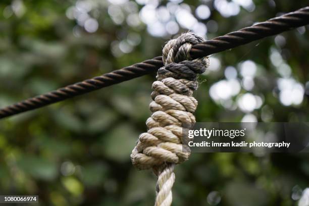 Taunt Rope Taut Rope Photos and Premium High Res Pictures - Getty Images