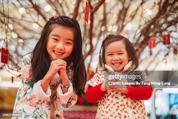 lovely little siblings with kung hei fat choi hand gestures smiling joyfully in chinese new year - 2018 chinese new year stock-fotos und bilder