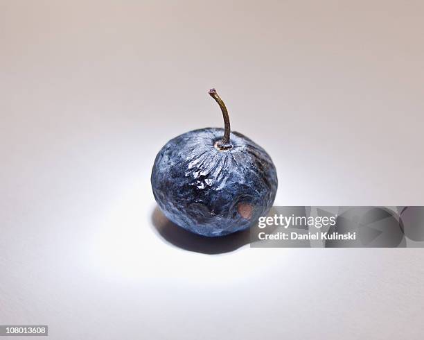 Berry, Foto de stock