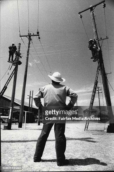 Trainee Linesmen working on Telegraph Poles, with Supervisor on the ground.