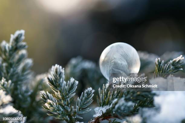 beautiful frozen soap bubble. - frozen and blurred motion stock pictures, royalty-free photos & images