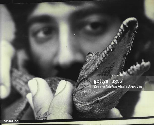 147 Razor Teeth Stock Photos, High-Res Pictures, and Images - Getty Images