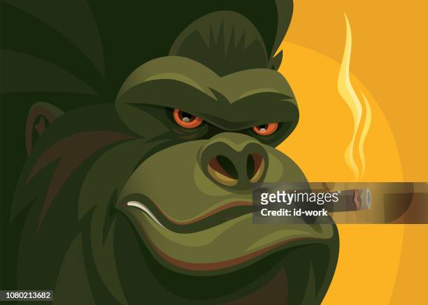 ilustraciones, imágenes clip art, dibujos animados e iconos de stock de cigarro de tabaco resistente gorilla - gorila