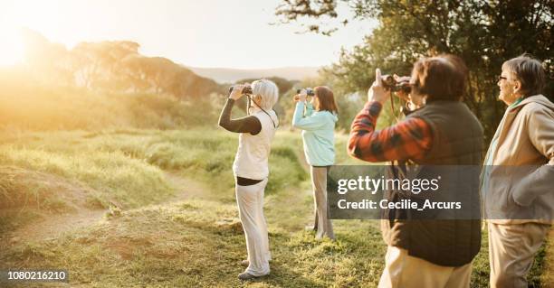 there's so much to see out here - bird watching stock pictures, royalty-free photos & images