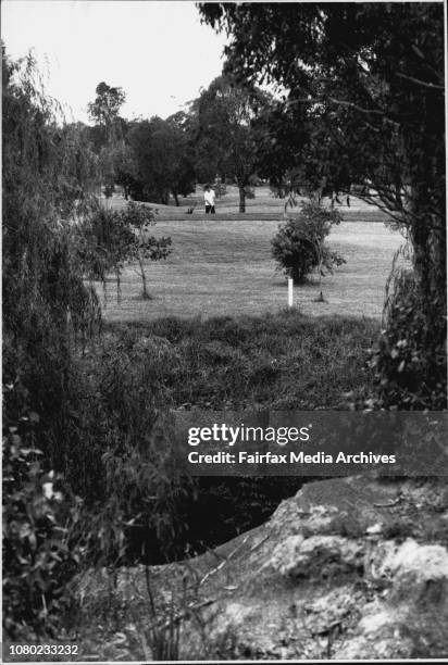 Wilderness area at Sth Granville that promises to be near extinction it it is not looked after now..... December 12, 1989. .