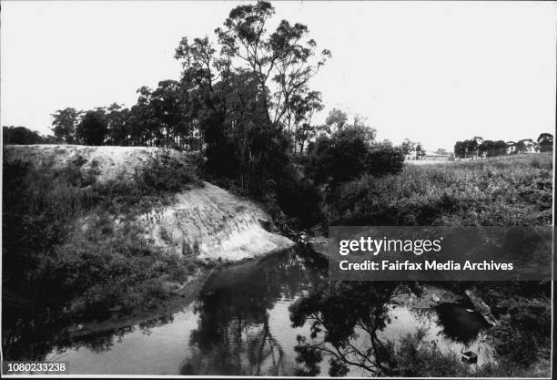 Wilderness area at Sth Granville that promises to be near extinction it it is not looked after now..... December 12, 1989. .