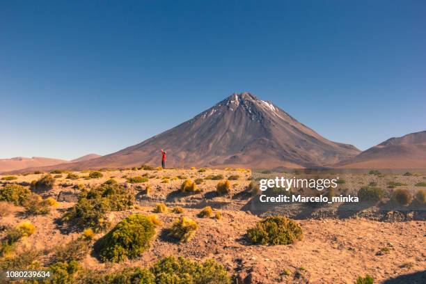 turistas disfrutando del paisaje chileno. - licancabur fotografías e imágenes de stock