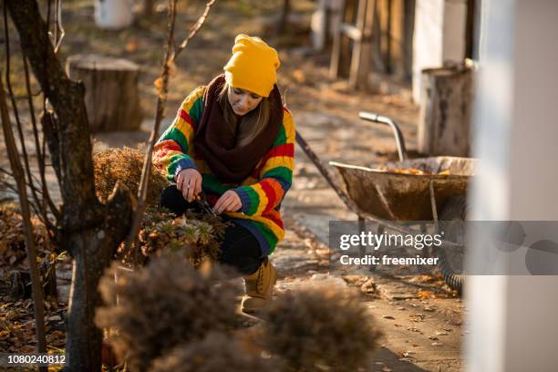 tuinieren tijd - garden working stockfoto's en -beelden