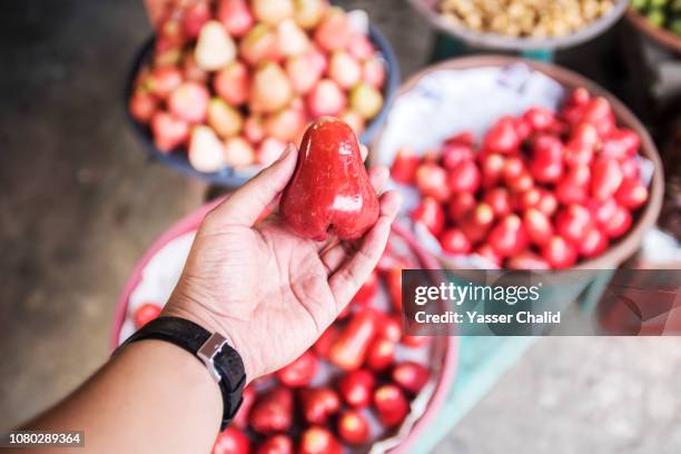 water apple - water apples stock pictures, royalty-free photos & images