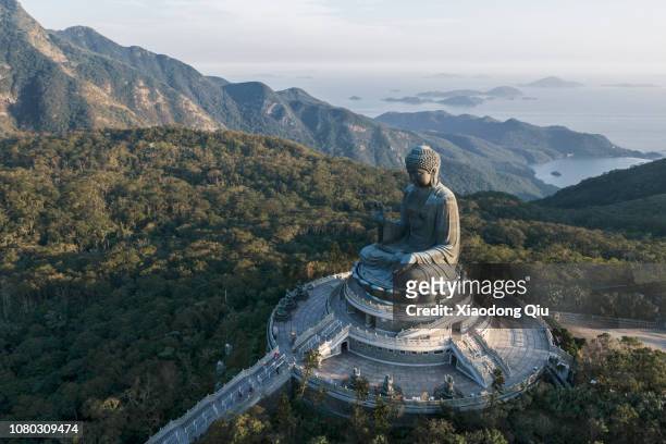 aerial view of hong kong tian tan buddha at dusk - grote boeddha stockfoto's en -beelden