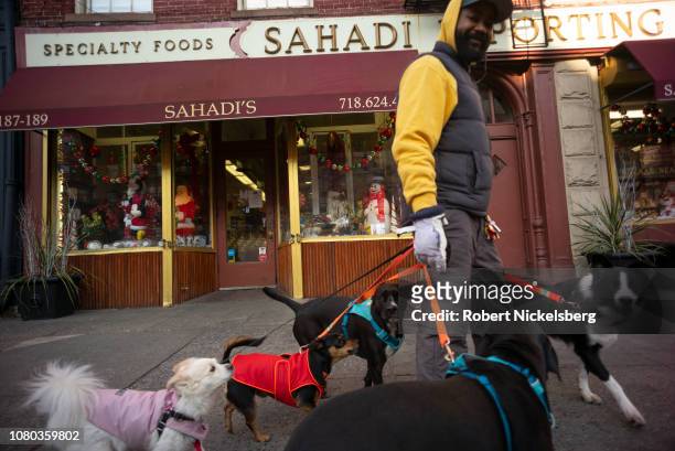 Professional dog walker stops in front of Sahadi's grocery store on Atlantic Avenue in Brooklyn New York on December 6, 2018. Originally from...