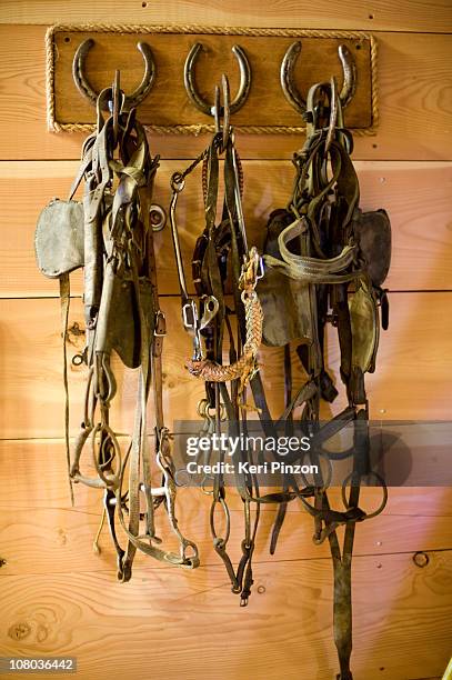 horse tack - horseshoes stockfoto's en -beelden