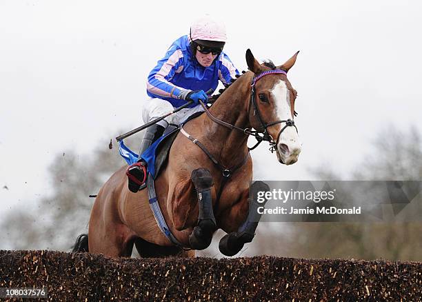 Charlie Poste Racing The Turftv Handicap Steeple Chase Race Photos and Premium High Res ...
