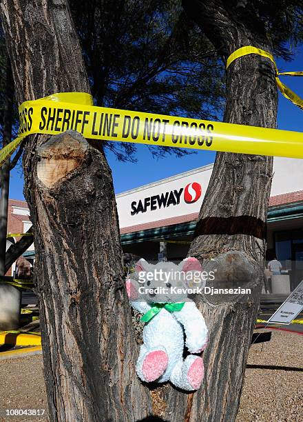 Stuffed teddy bear sits in a tree at the shooting rampage site in the La Toscana Village parking lot on January 14, 2011 in Tucson, Arizona. The...