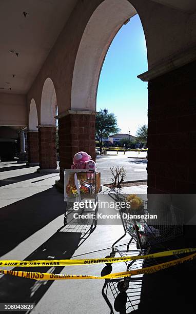 Stuffed teddy bear and flowers sit inside empty shopping carts at the shooting rampage site in the La Toscana Village parking lot on January 14, 2011...