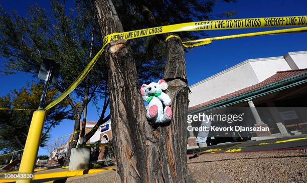Stuffed teddy bear sits in a tree at the shooting rampage site in the La Toscana Village parking lot on January 14, 2011 in Tucson, Arizona. The...