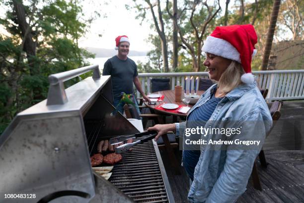 christmas barbeque - christmas bbq stock pictures, royalty-free photos & images