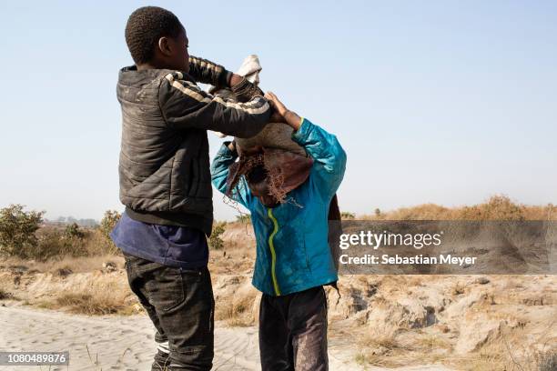 An older boy places a sack of cobalt on Daniel's back. He works in a mine ferrying sacks of cobalt to a depot."n"nCobalt is a vital mineral needed...