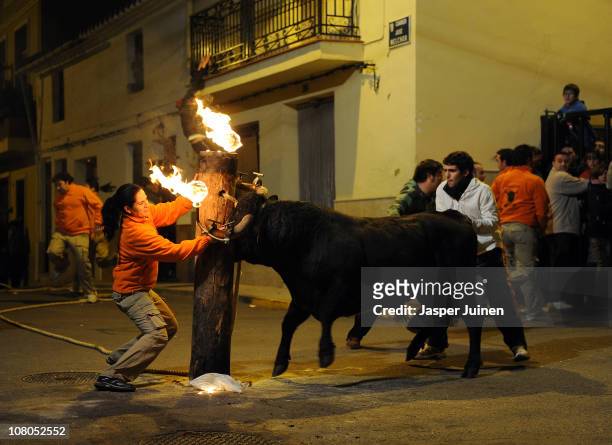 Reveler cuts the rope tying a bull with flaming horns to a pylon during the Fiesta del Toro Embolao on January 14, 2011 in Gilet, Spain. During the...