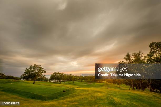 teeing ground - tee box foto e immagini stock