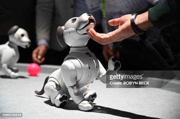 Attendees interact with the AIBO robotic companion dog at the Sony booth during CES 2019 consumer electronics show, on January 10, 2019 at the Las...