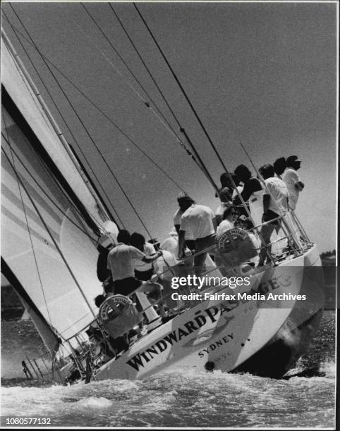 Rod Muir 55 Cabbage Tree Island Stock Photos, High-Res Pictures, and Images ...