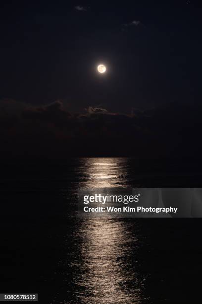 moonlight - maanlicht stockfoto's en -beelden
