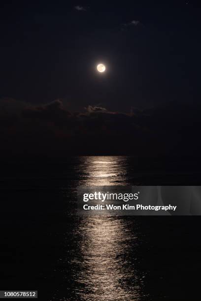 moonlight - lake reflection stock pictures, royalty-free photos & images