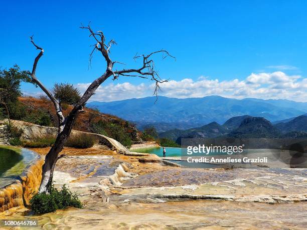 hierve el agua, oaxaca - oaxaca stock pictures, royalty-free photos & images