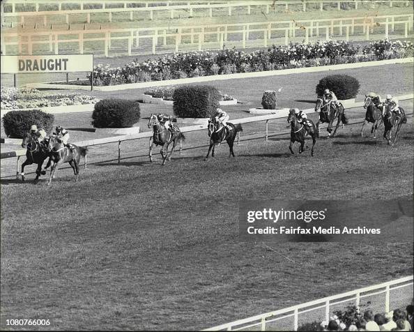Rosehill Races Rosehill Races - Race 5 - 1982 Dinners Club Silver Slipper Stakes ...