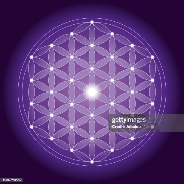 stockillustraties, clipart, cartoons en iconen met geometrische patroon van de flower of life met symmetrische structuur - hanger