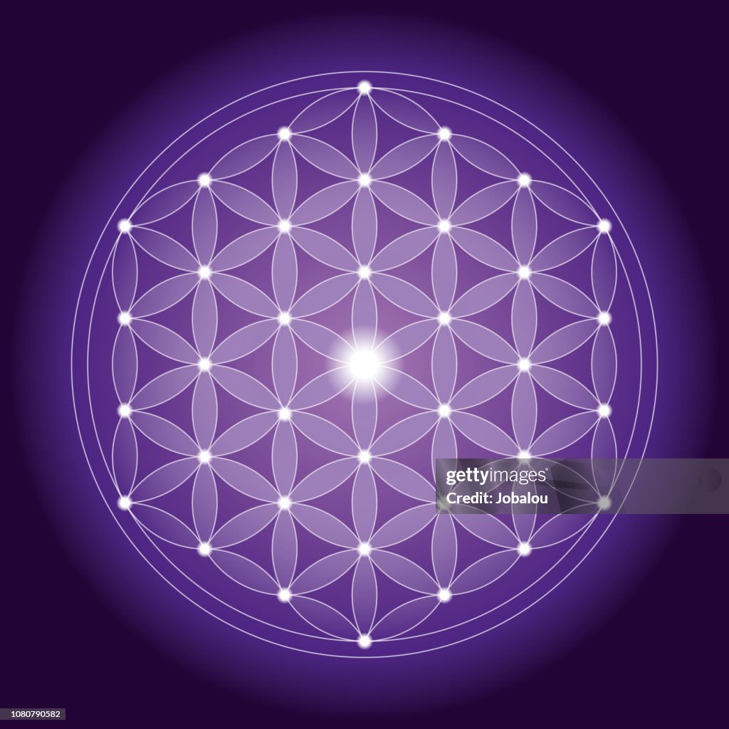 Geometrical Flower of Life pattern with Symmetrical Structure
