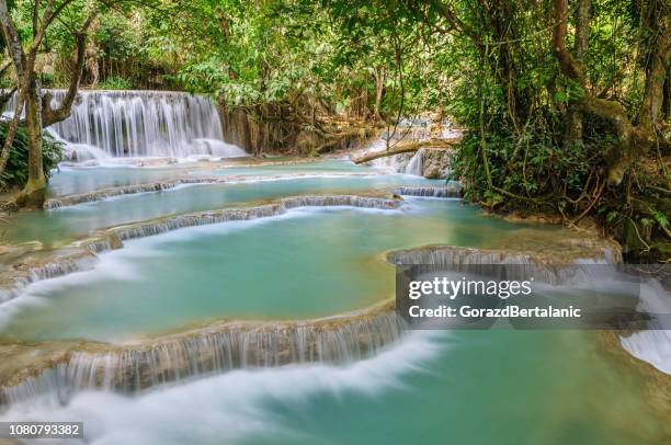 cascate mozzafiato della cascata di kuang si, luang prabang, laos - laos foto e immagini stock