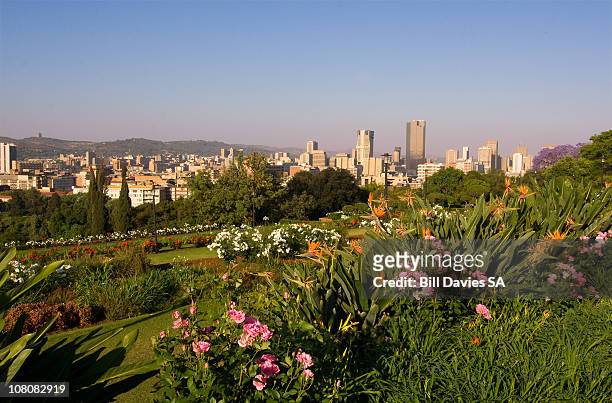 view of pretoria, from the union buildings - pretoria stock pictures, royalty-free photos & images