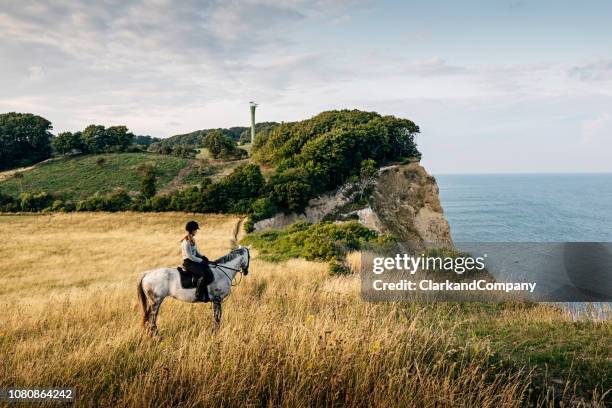 horseback riding at møns klint in denmark. - danish sports stock pictures, royalty-free photos & images