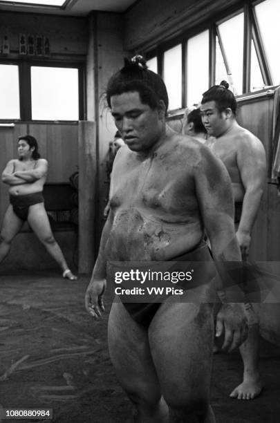 107 Hakkaku Stable Photos & High Res Pictures Getty Images