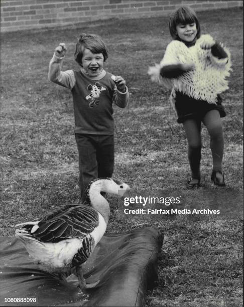 The children of the Infants Home, Henry Street, Ashfield are very upset. They had a pair of Chinese Geese until recently when the female suddenly...