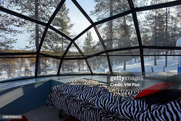 160 Igloo Interior Stock Photos, High-Res Pictures, and Images - Getty ...