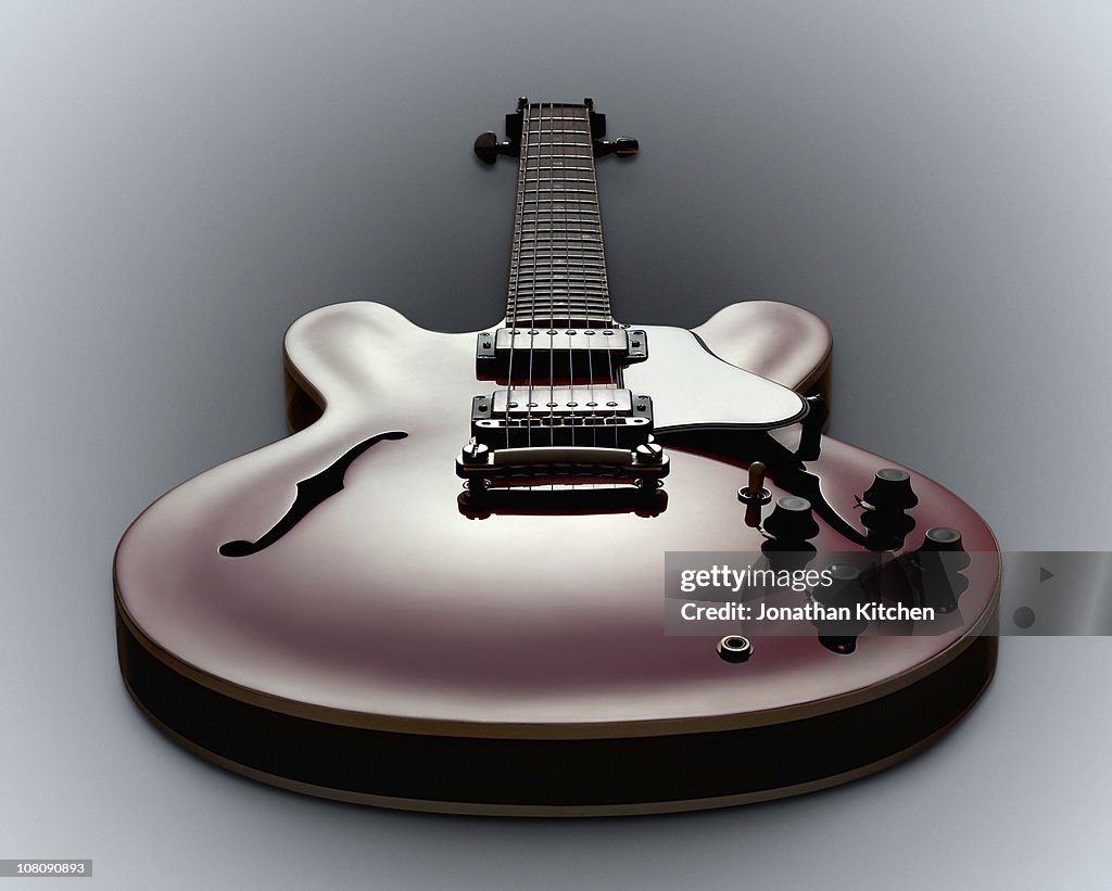 A Guitar showing all its controls