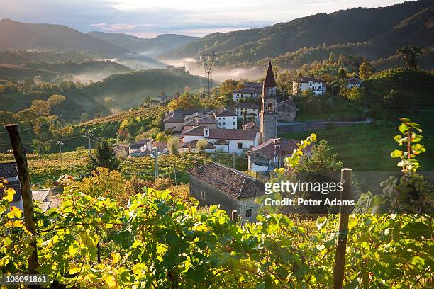 rolle village & prosecco vineyards, veneto, italy - village foto e immagini stock