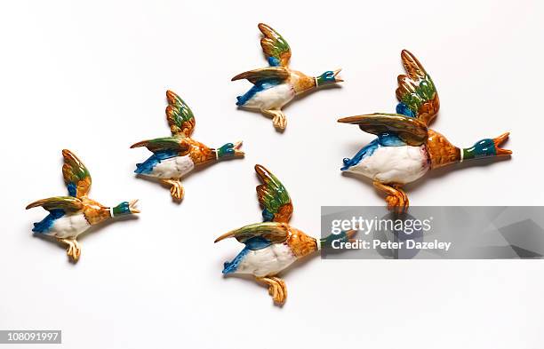 flying ceramic ducks on white background - bauble white background foto e immagini stock