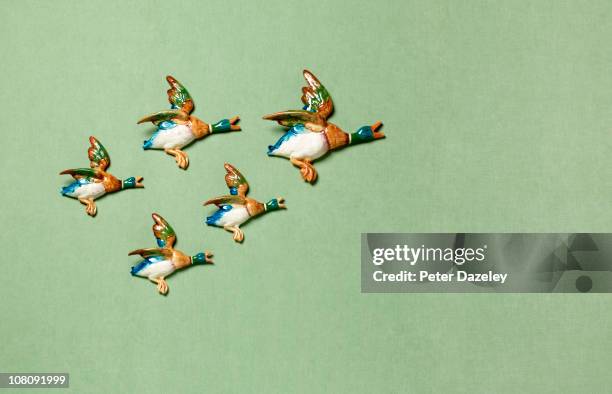 flying ducks on domestic wall - kitsch stock pictures, royalty-free photos & images