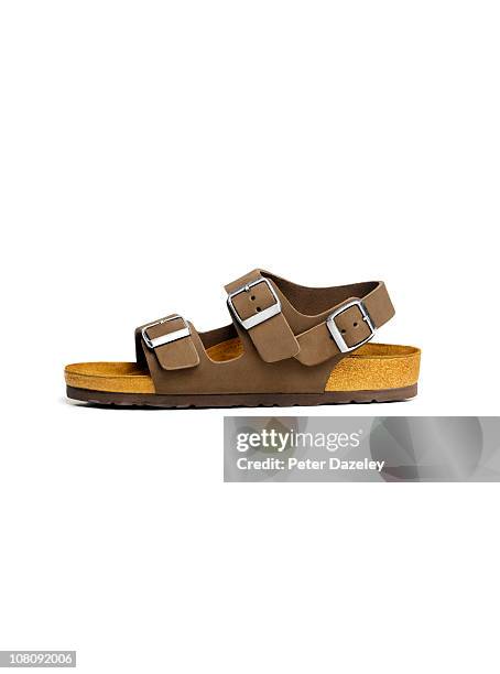 men's vacation sandal with copy space - brown shoe fotografías e imágenes de stock