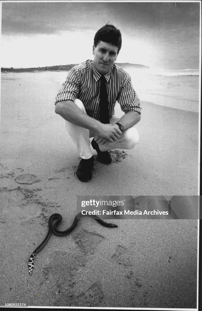 One of the world's most deadly sea snakes was found washed up alive on a Sydney beach yesterday - a marathon-swim south of its normal home.Scientists believe the snake, which breeds in tropical and subtropical waters off the east and west coasts of Austra