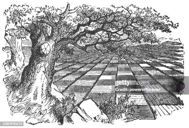 chess board countryside in through the looking-glass - chess board stock illustrations