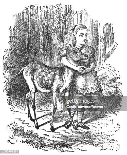 alice in the wood where things have no names in through the looking-glass - fawn stock illustrations