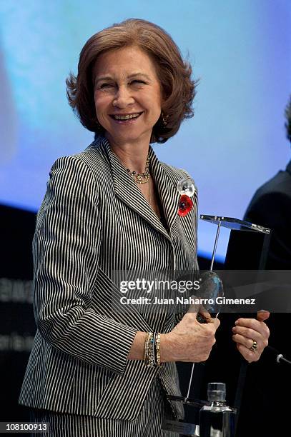 Queen Sofia of Spain attends 'Telefonica Ability Awards' at Telefonica headquarters on January 17, 2011 in Madrid, Spain.